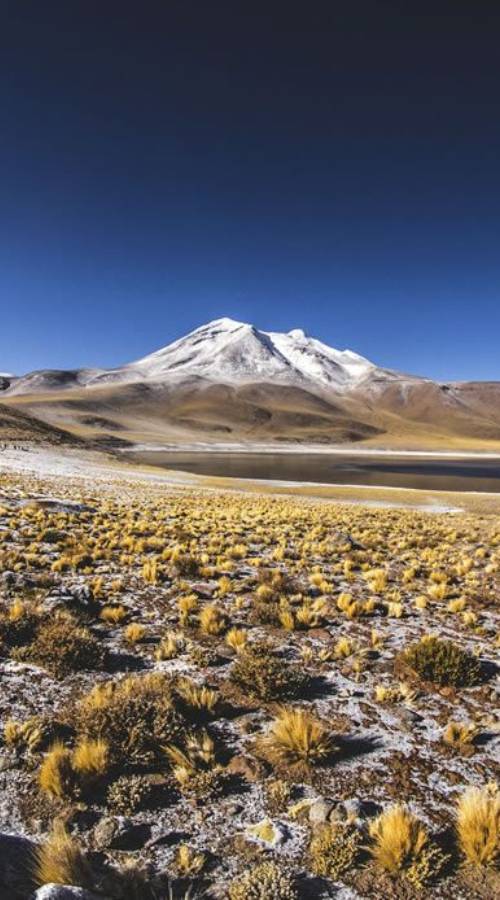 Laguna Miscanti