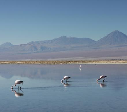 Nos vamos de tour por el desierto más árido del mundo, el de Atacama